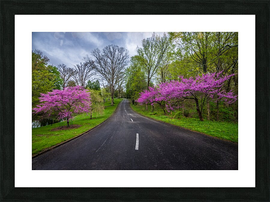 Spring Grove Road Picture Frame print