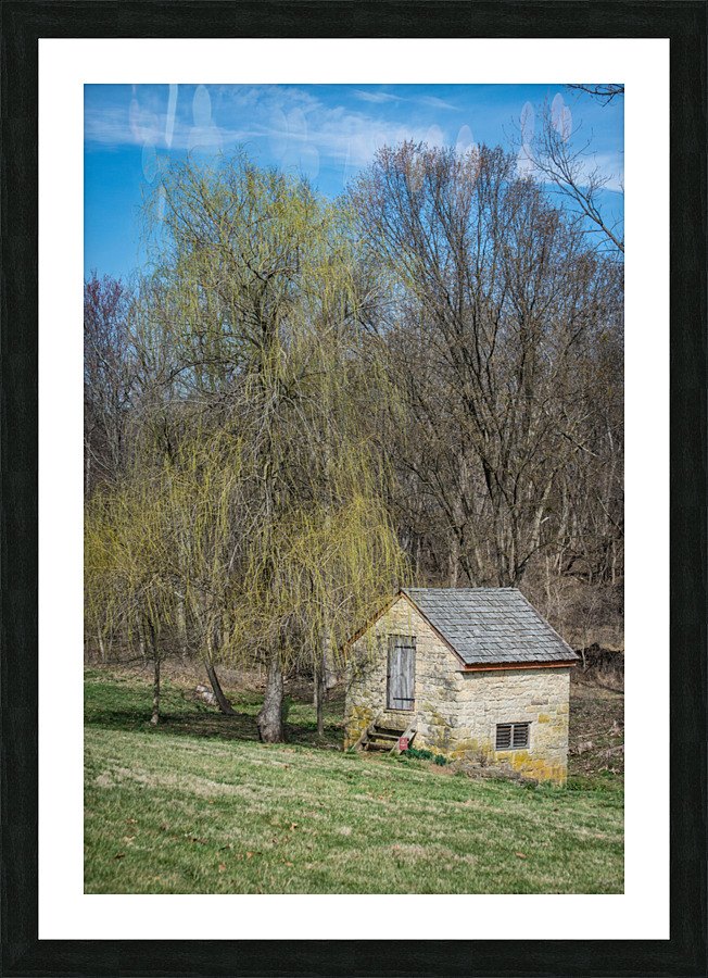 well locust grove Picture Frame print