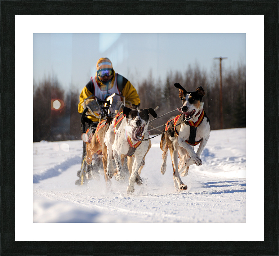 DSC 2562 Picture Frame print