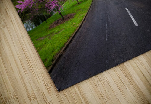 Spring Grove Road Gary Whitton puzzle