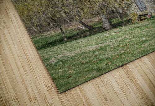 well locust grove Gary Whitton puzzle