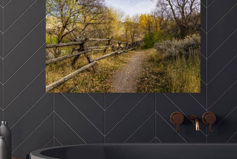 Forest Path - Parleys Historic Nature Park - Salt Lake City - Utah by Gary Whitton
