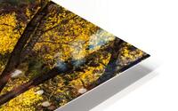cabin colorado fall HD Metal print