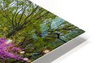 Spring Grove Road HD Metal print