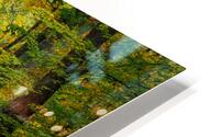 brown county fall2 HD Metal print