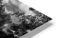 gray mail pouch bw HD Metal print
