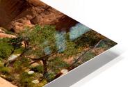 oasis1 HD Metal print