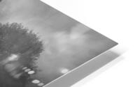 fog trees HD Metal print