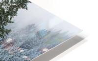 bcc snow1 HD Metal print