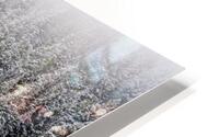 wasatch snow trees HD Metal print