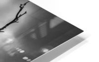 wicked tree black white HD Metal print