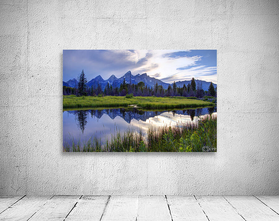 schwabacher landing2 Wall Preview
