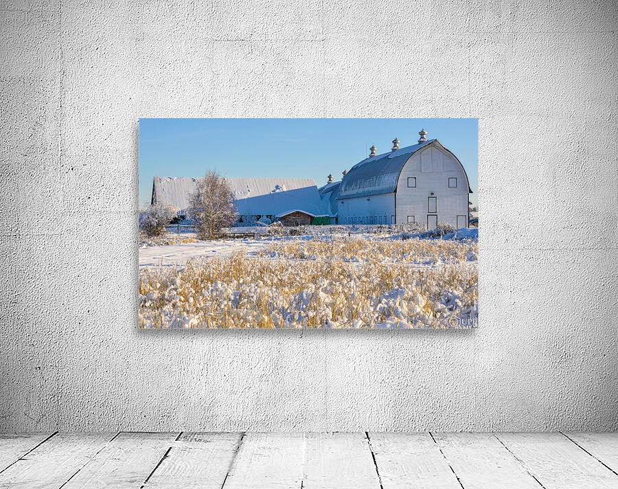 Creamers Dairy Farm Barn - Fairbanks Alaska by Gary Whitton Wall Art