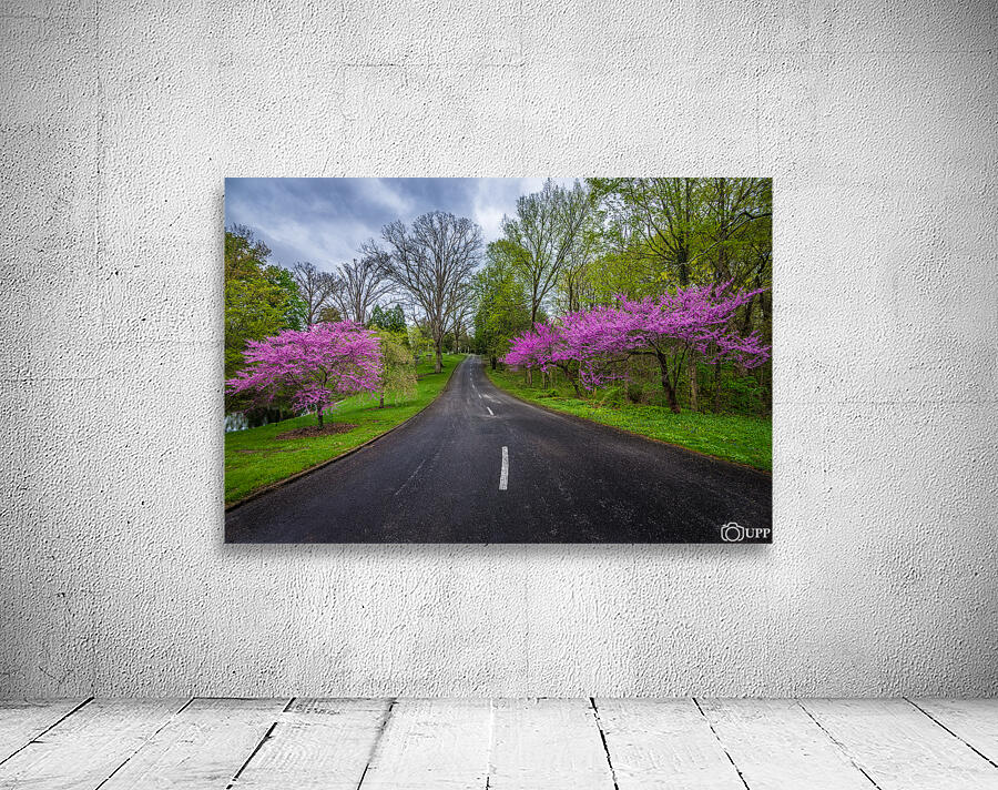 Spring Grove Road Wall Preview
