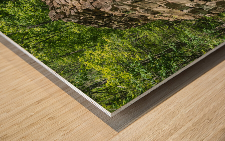 Newlees Iron Furnace - Cumberland Gap National Park - Virginia Wood print