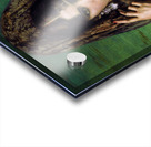 Eternal idol Acrylic print