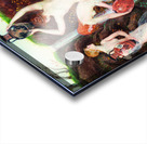 The 7 nymphs Acrylic print