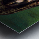 Eternal idol Metal print