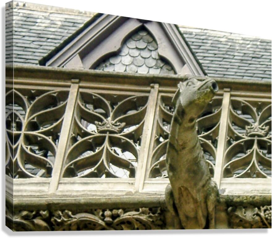 A Gargoyle in Paris