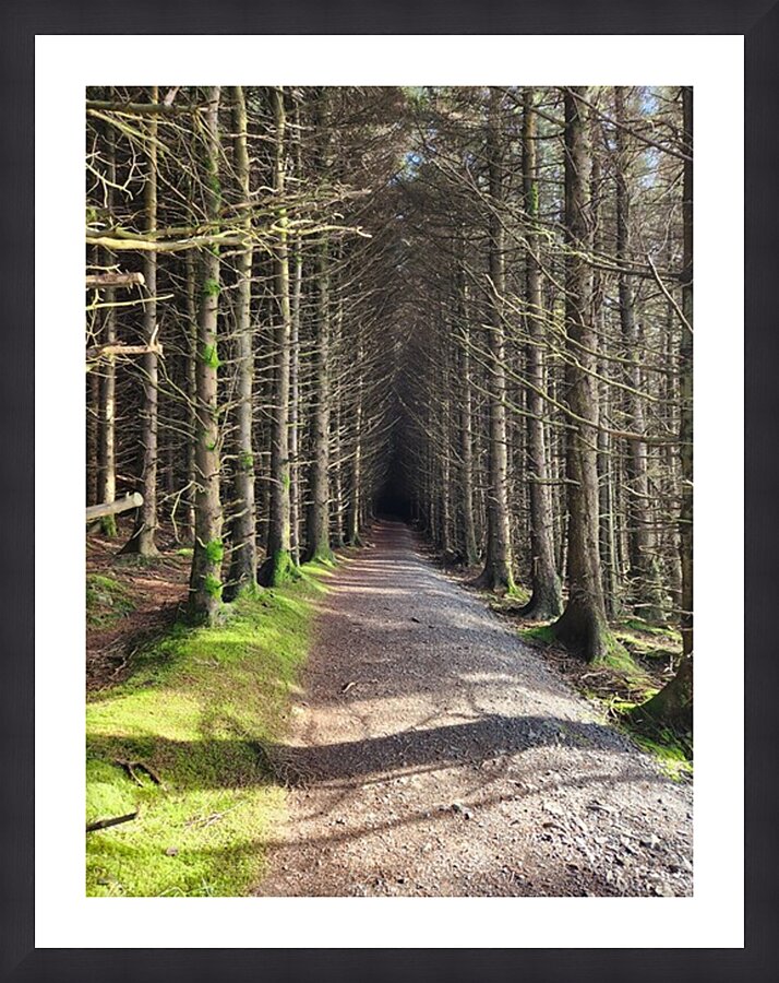  Fine Art print
