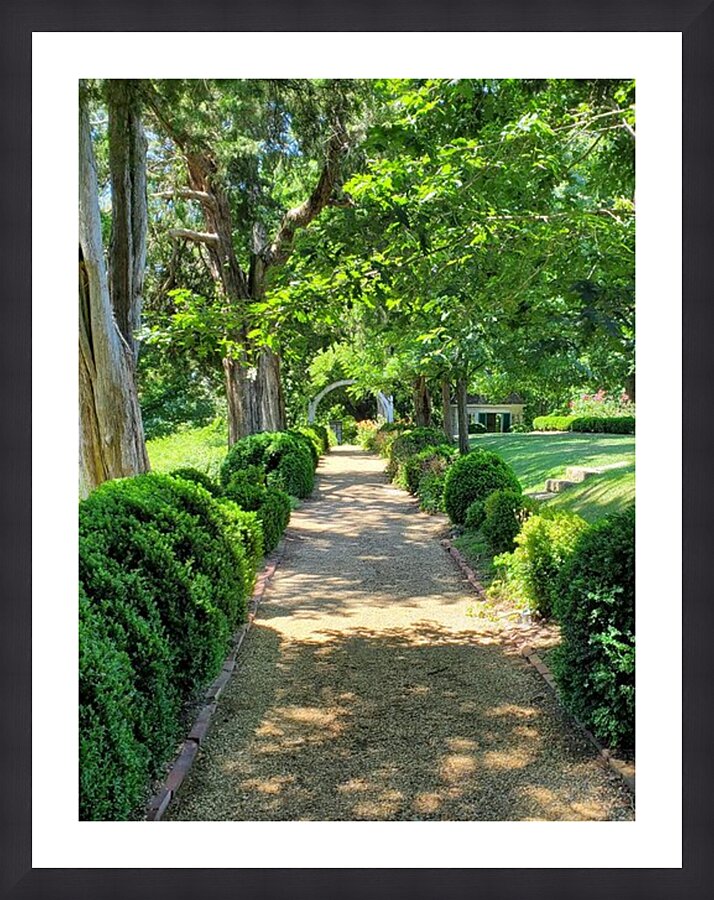  Fine Art print