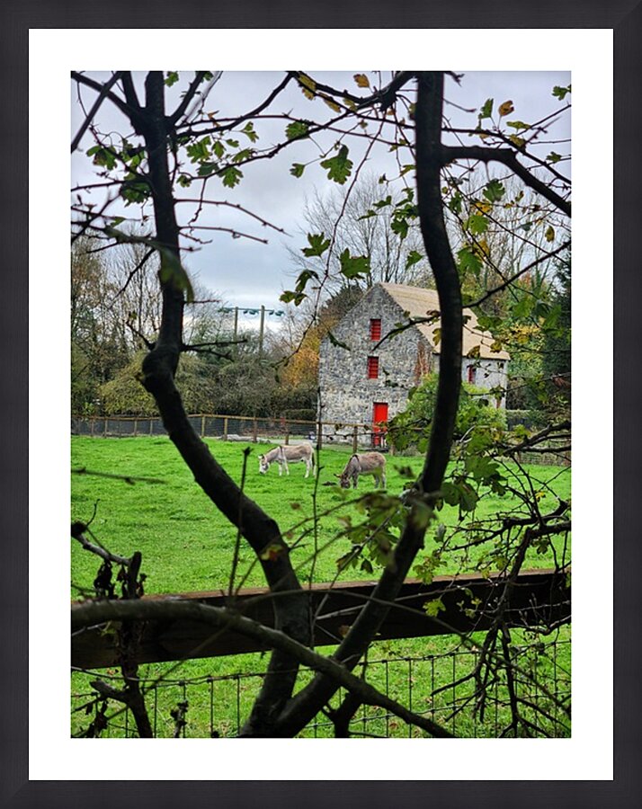  Fine Art print