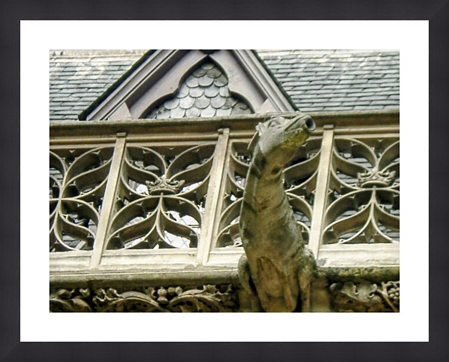  Fine Art print