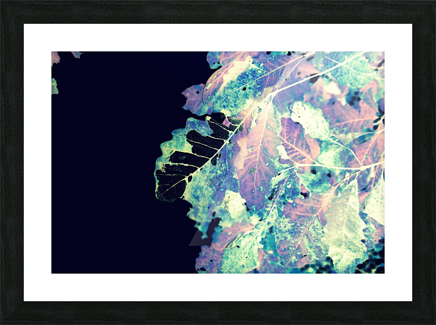 Electra Picture Frame print