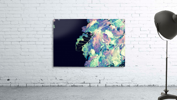 Electra Wall Preview