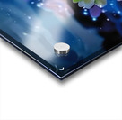 Enchanted Night Garden Acrylic print