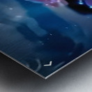 Enchanted Night Garden Metal print