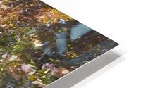 Mystic Garden Path HD Metal print