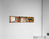 panoramic 001 Acrylic Print