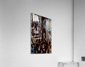 x1 Acrylic Print