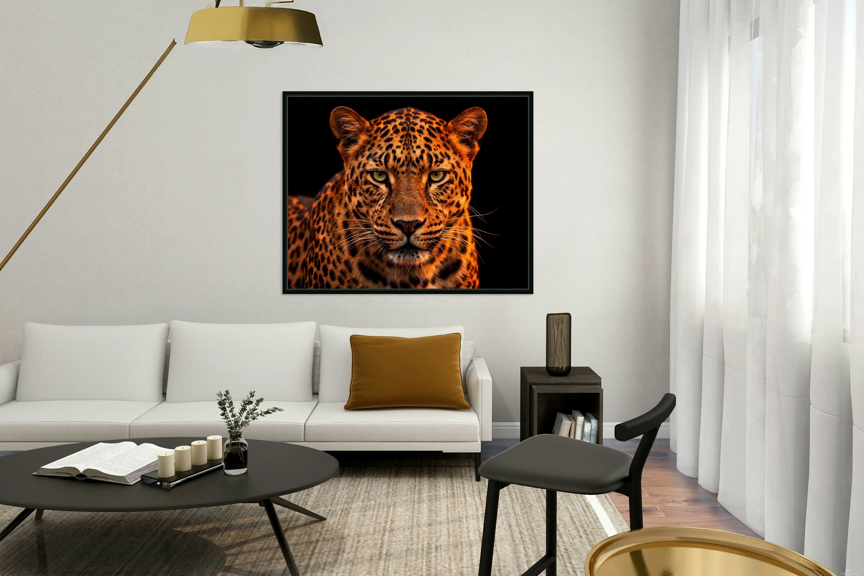 Leopard Photography Dark