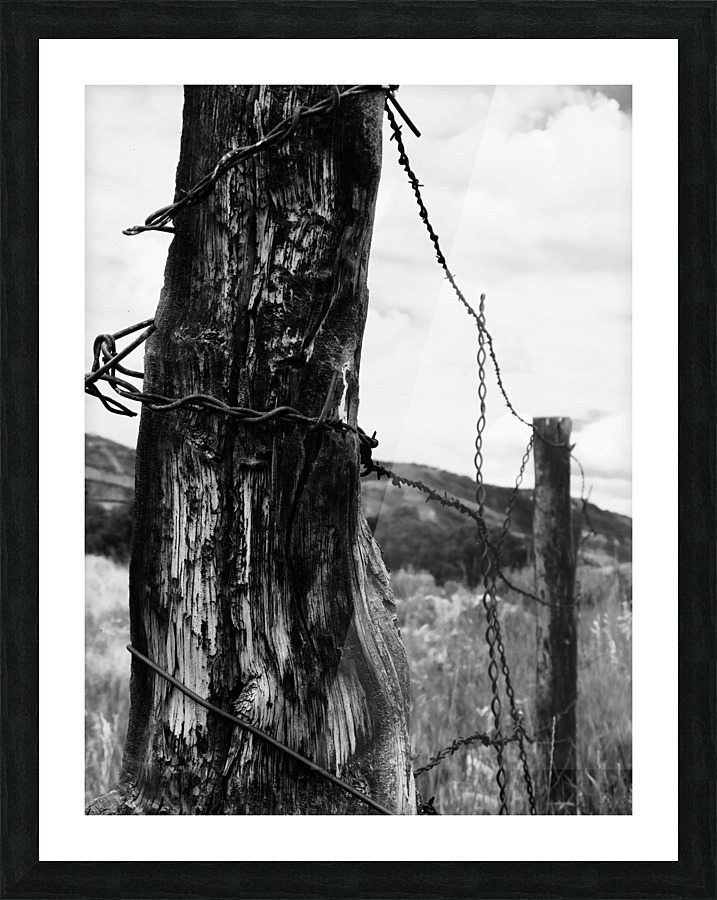 Barbed Wire Picture Frame print