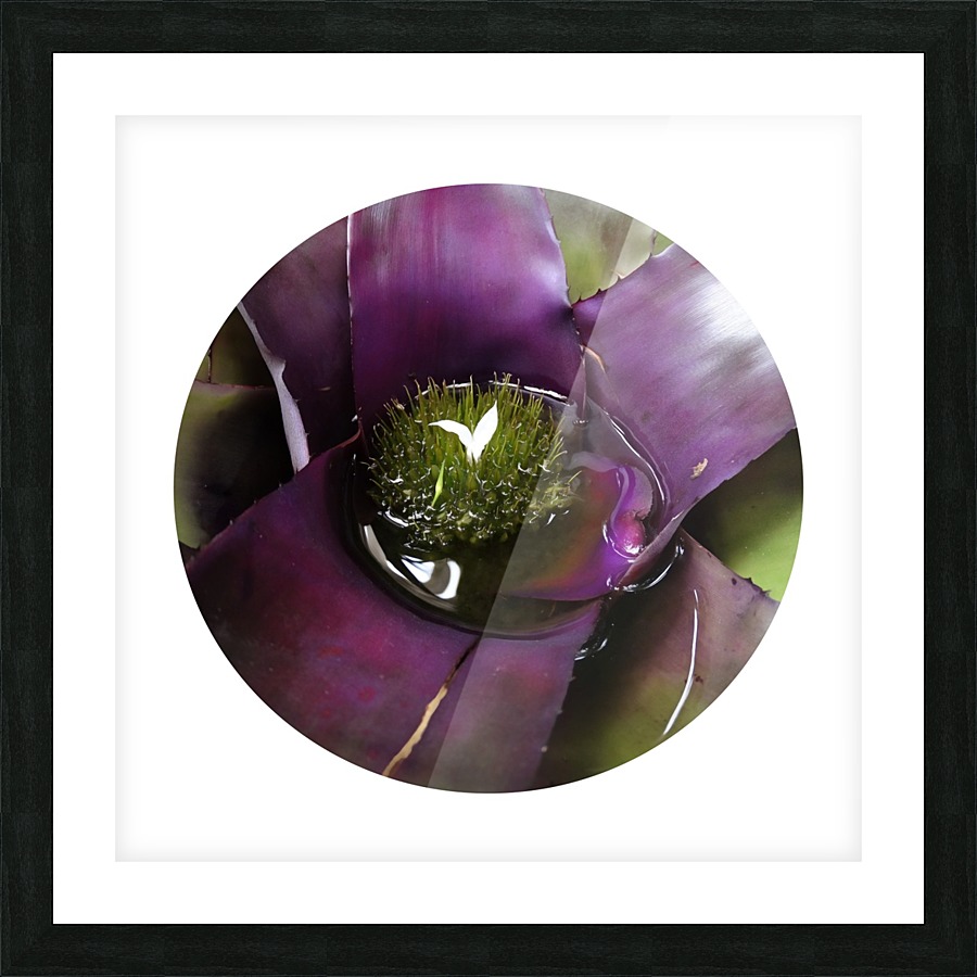Circle DSC03736 Picture Frame print
