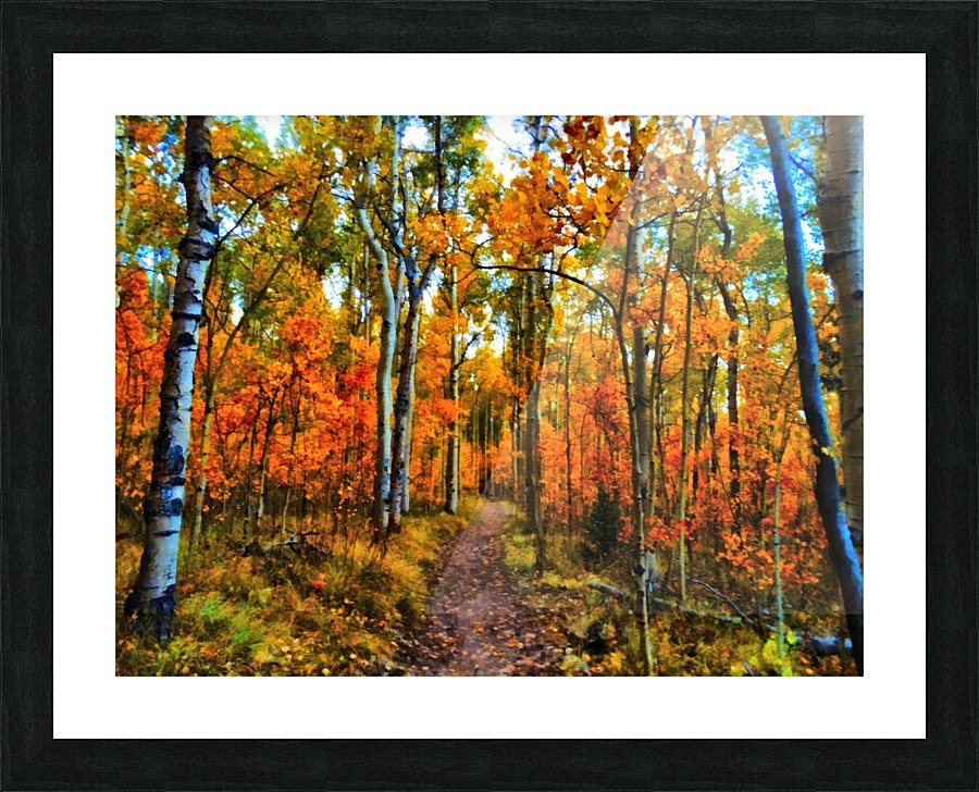 DSC00763 Picture Frame print