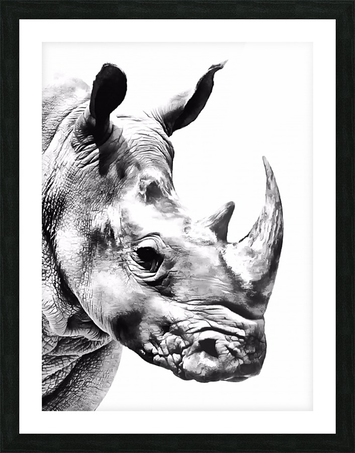 Rhino Picture Frame print