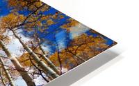 Aspen sky HD Metal print