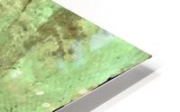 222886742 Green HD Metal print