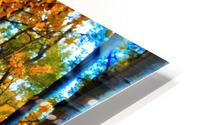 DSC00763 HD Metal print