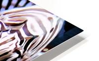 Lion Fish HD Metal print