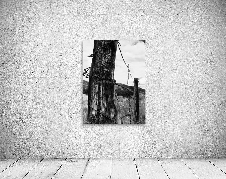 Barbed Wire Wall Preview