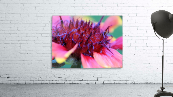Sun Flower Macro Wall Preview