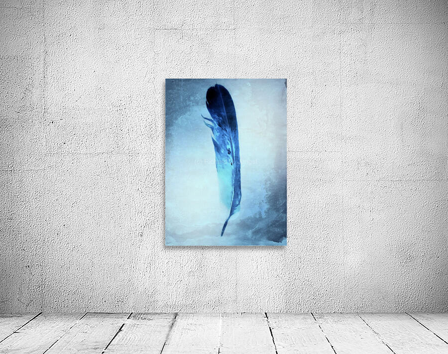 Blue Feather Wall Preview