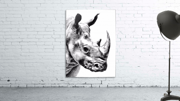 Rhino Wall Preview