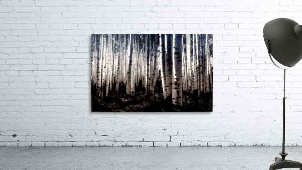 Aspen in Vail  Wall Preview