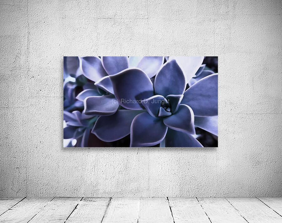 Succulent Purple Wall Preview