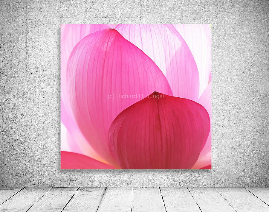 Lily Macro Wall Preview